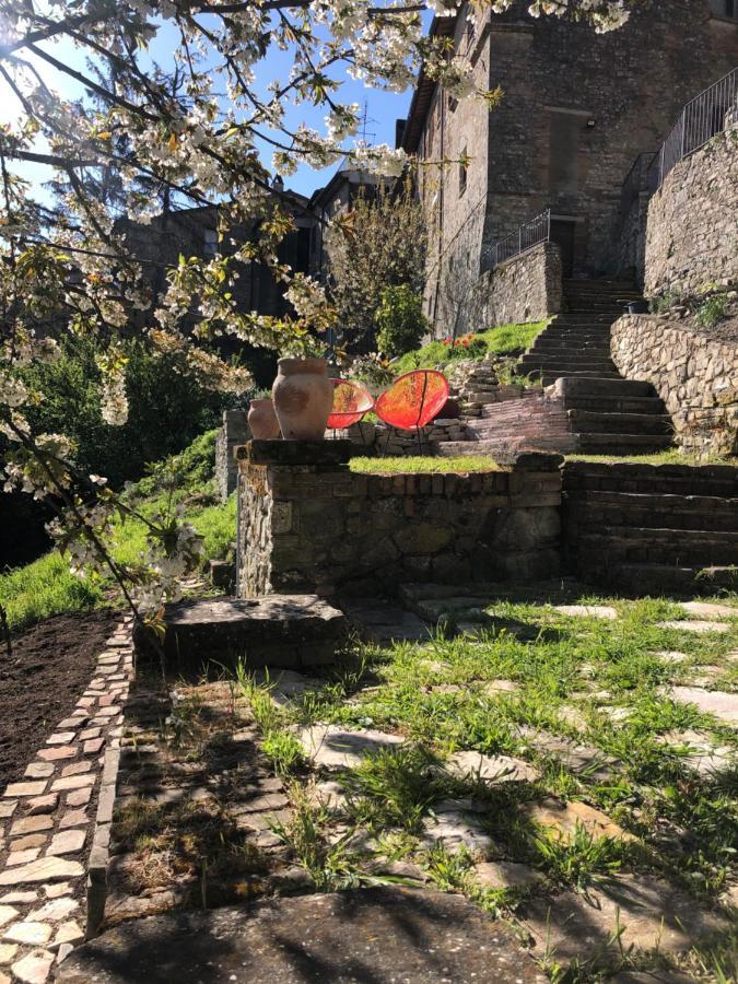 Lemon Tree Boutique Guest House Todi Luaran gambar